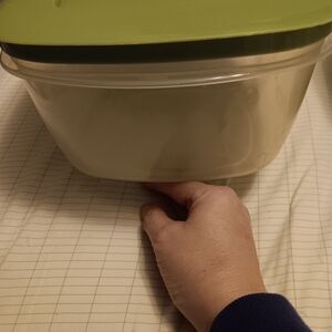 Rubbermaid Food Storage Container with Green Lid